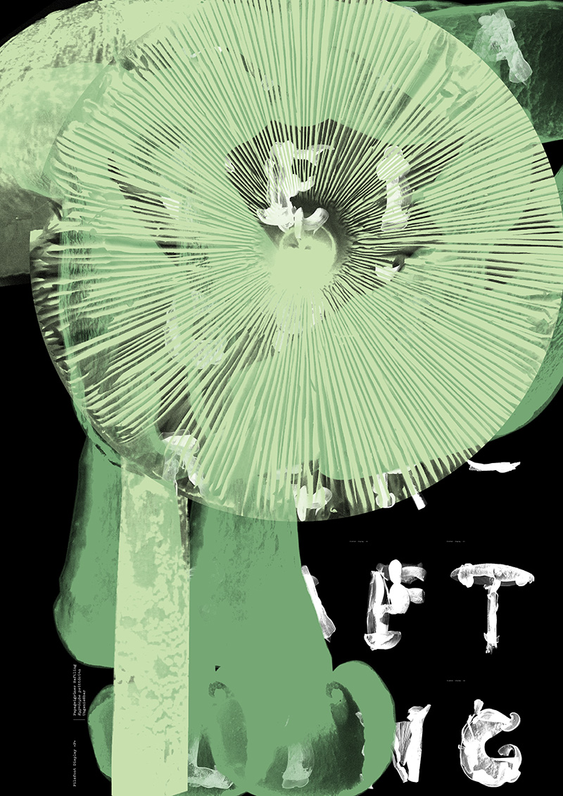 Pilzfont Design Typedesign Grafikdesign Font nicht Fond Typografie Pilze Gestaltung Art Direction Plakat Grafik Letter Type P